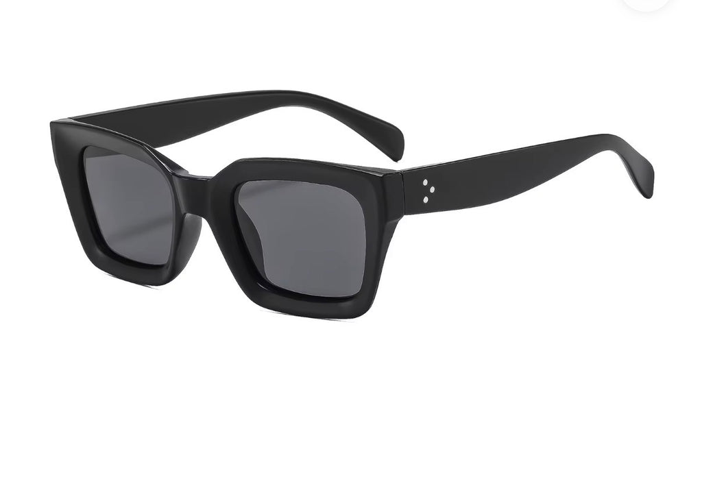Sunglasses Model 6