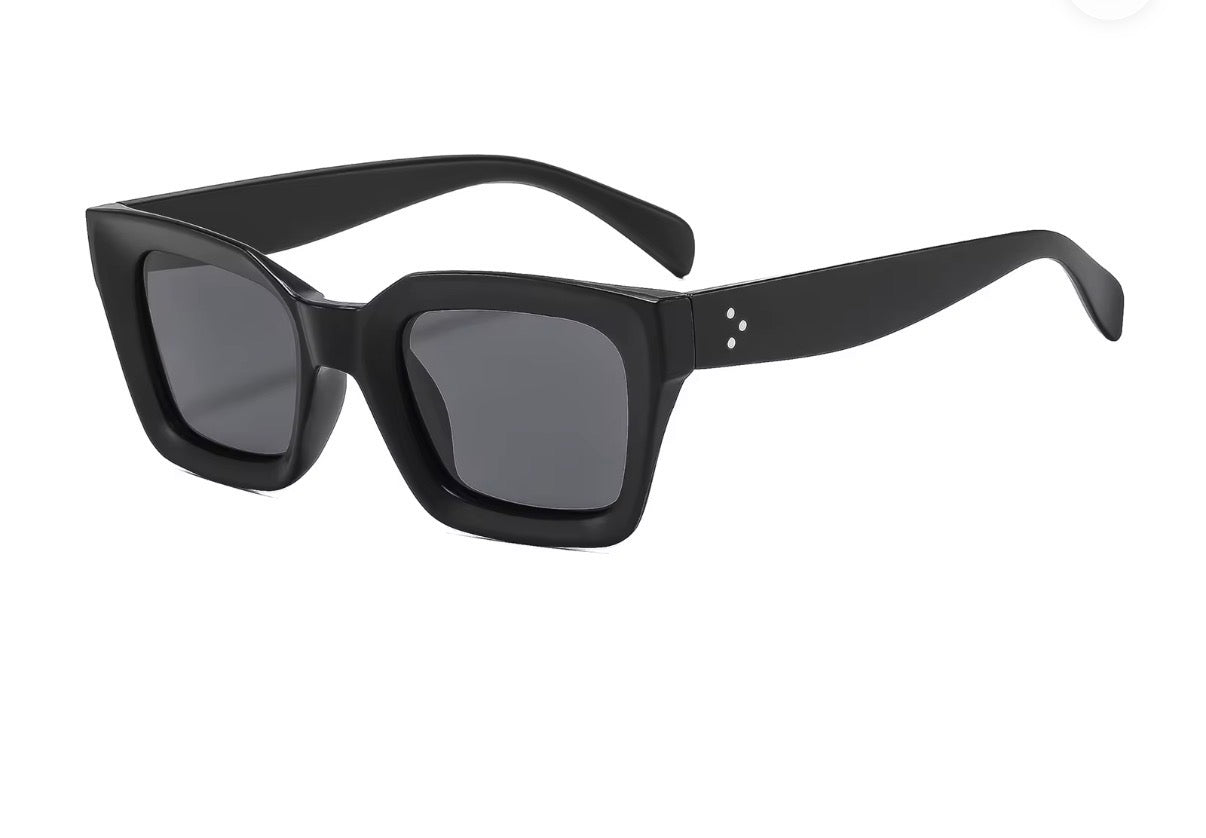 Sunglasses Model 6