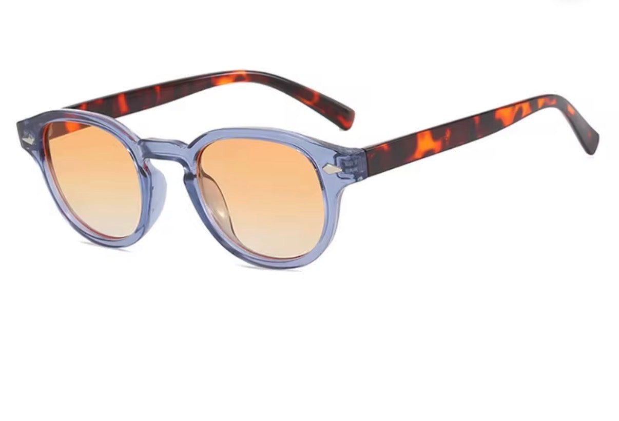 Sunglasses Model 23
