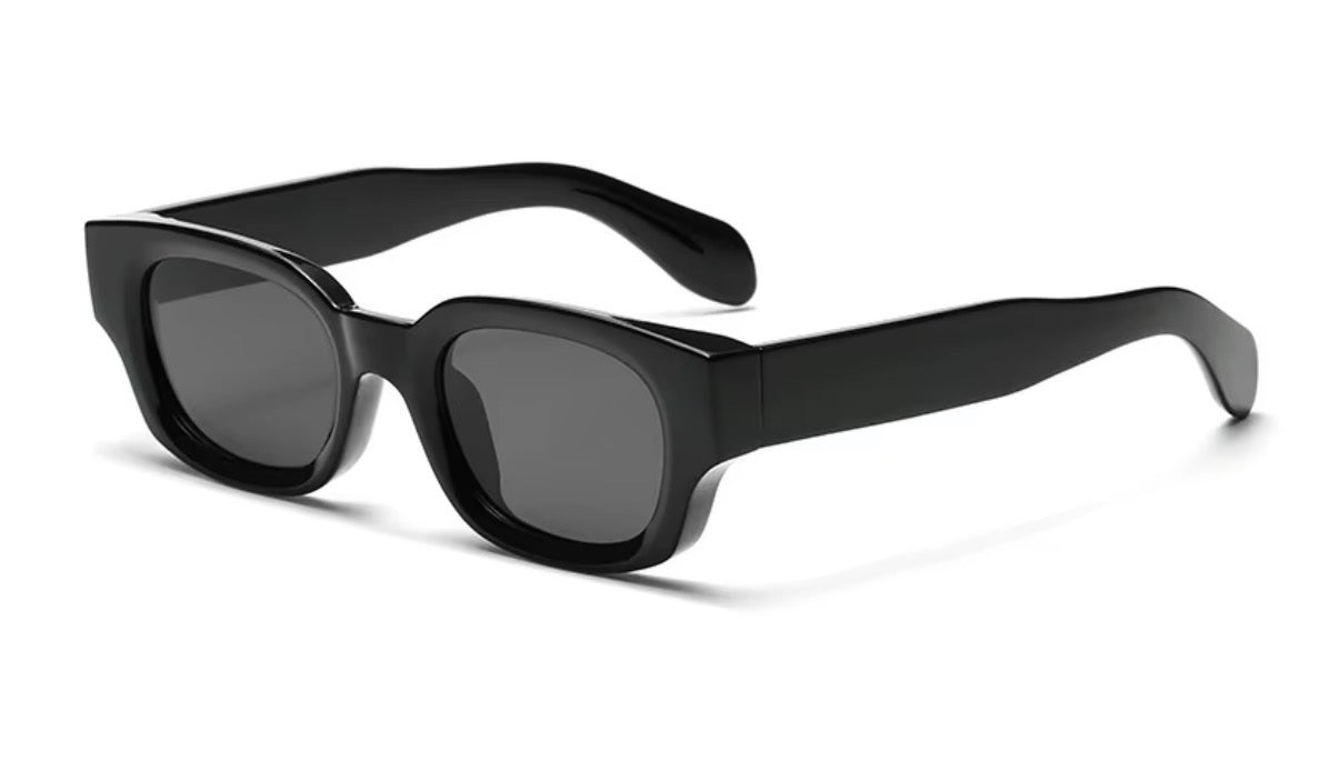 Sunglasses Model 31