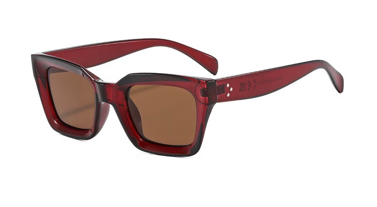 Sunglasses Model 6