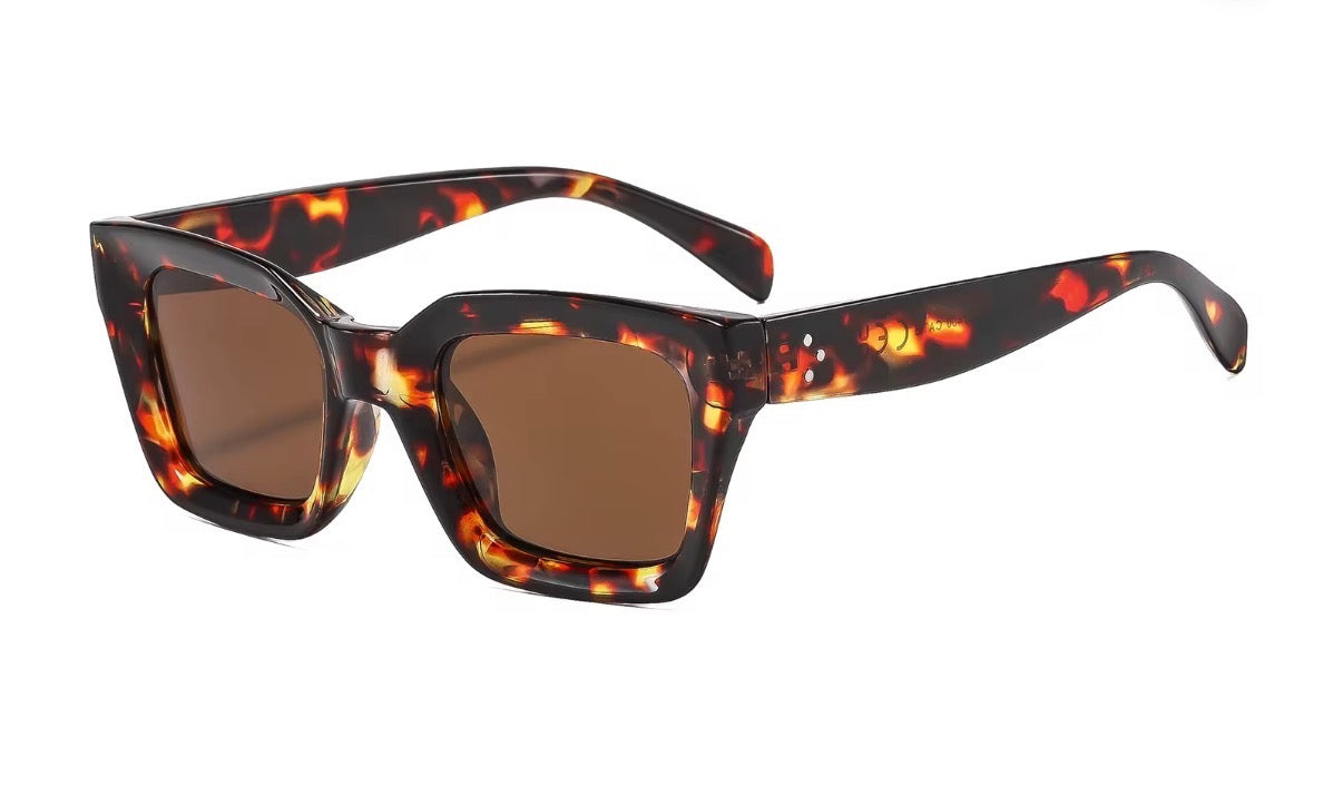 Sunglasses Model 6